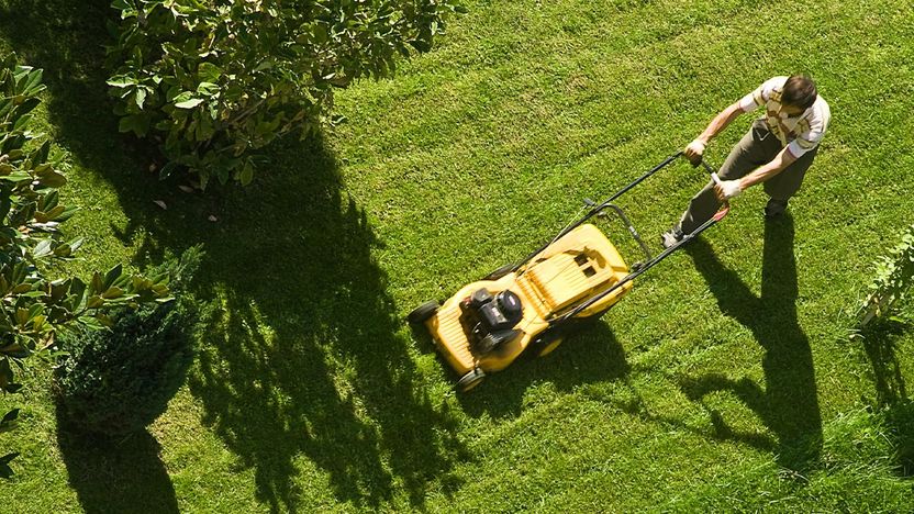 8 Effective Tips on How to Maintain a Green and Healthy Lawn