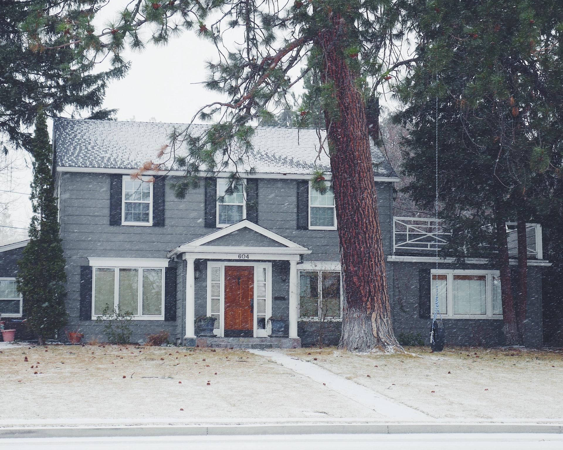 A gray house with a tree in front of it, ready for winter.