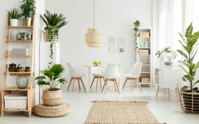 A upgraded white living room with plants.