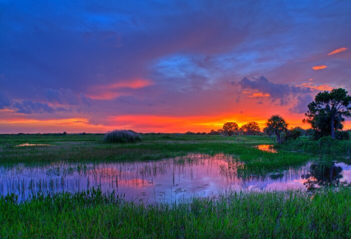 A colorful sunset over a Florida marsh.