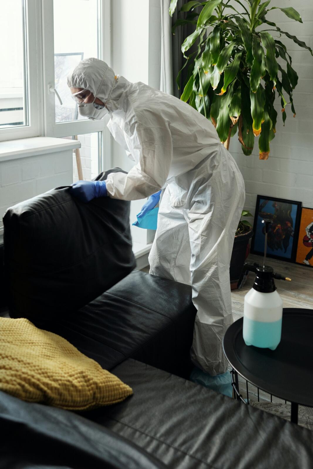 A person in a protective suit performing mold removal on a couch.