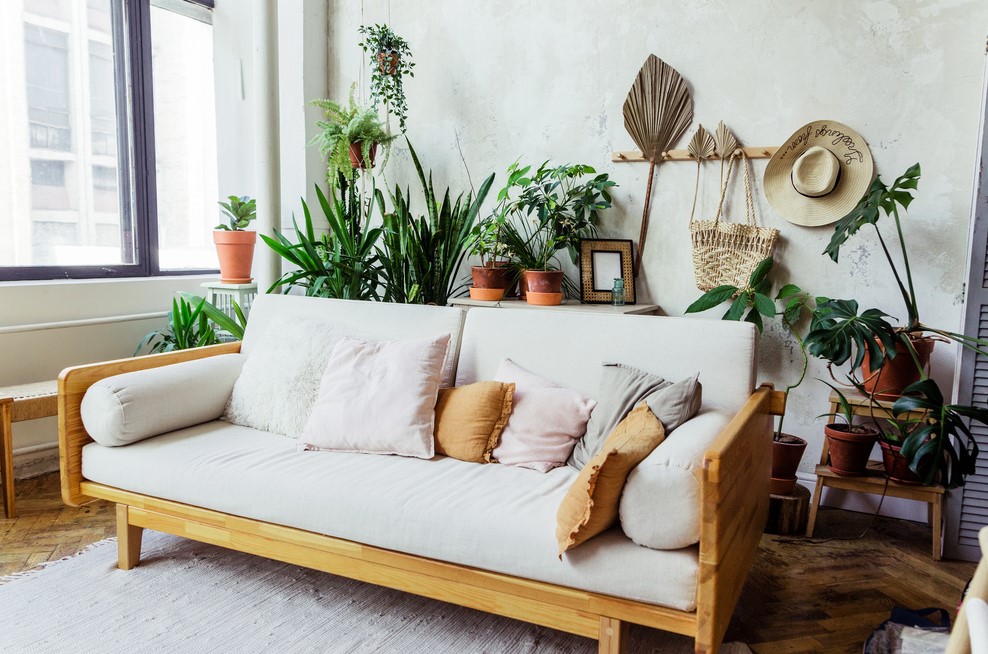 A living room adorned with plants.