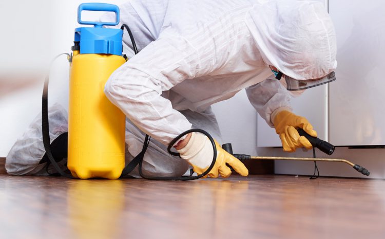 A man spraying pesticide for rodent control on a wooden floor.