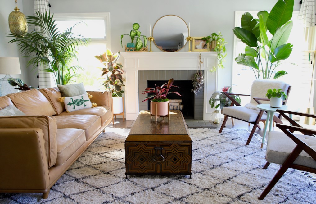 A living room with lots of plants for a happier home.