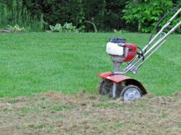 Dethatching Your Lawn