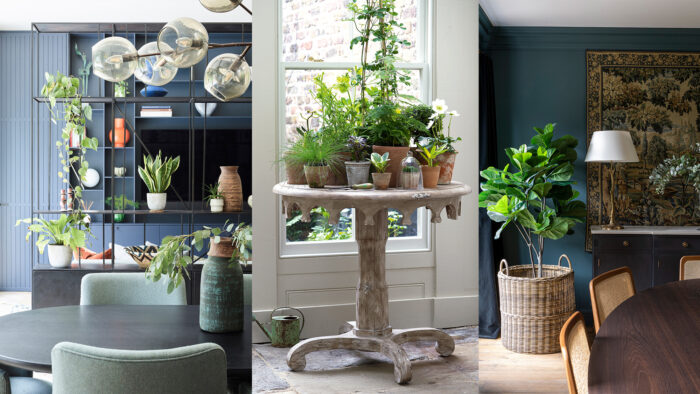 Four pictures of a dining room with a table and chairs showcasing the art of arranging indoor plants for a healthier and happier home.