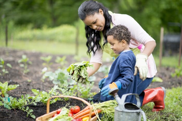 A mother and her son experience the mental health benefits of gardening as they plant vegetables in their garden.