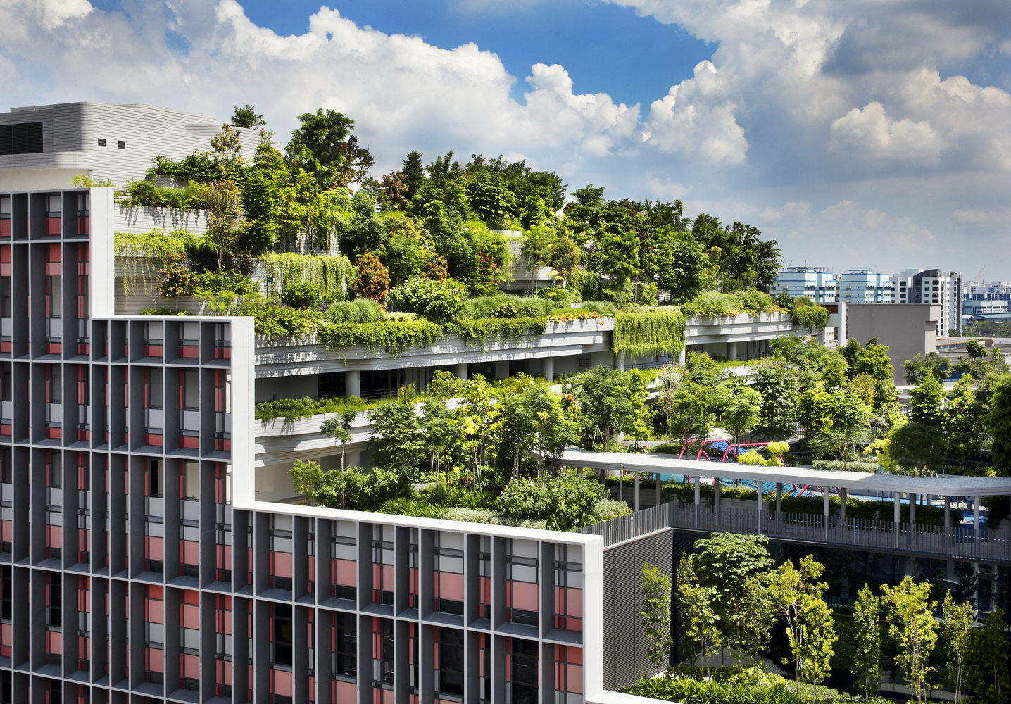 A sustainable green roof on the top of a building.