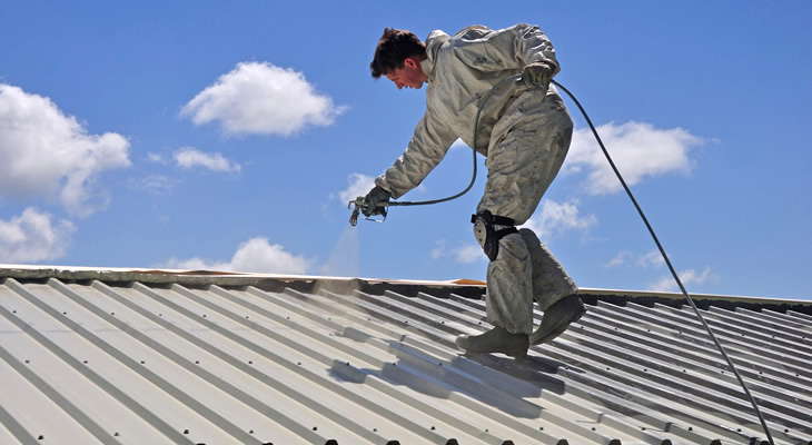 Benefits of hiring a professional roof painter for metal roofs.