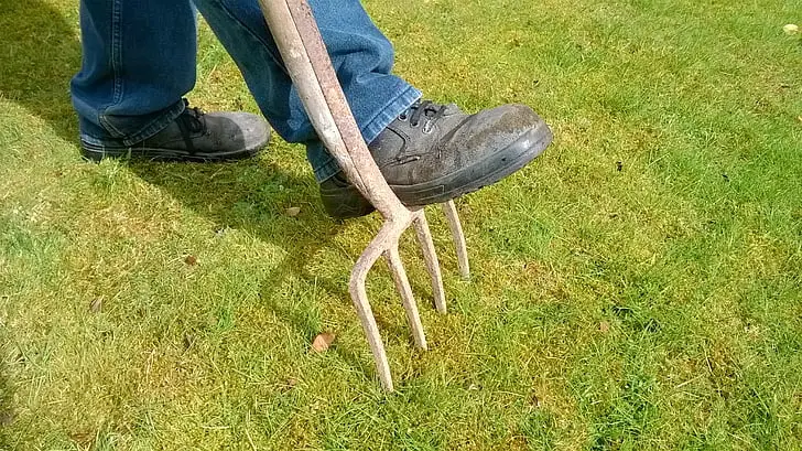 A person holding a pitchfork in the new grass.