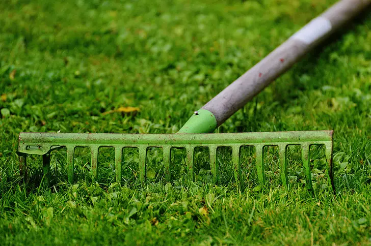 A green rake on new grass.