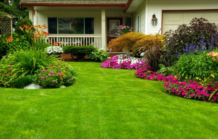 Transforming Your Garden: The Role of Water-Efficient Landscaping in Water Conservation