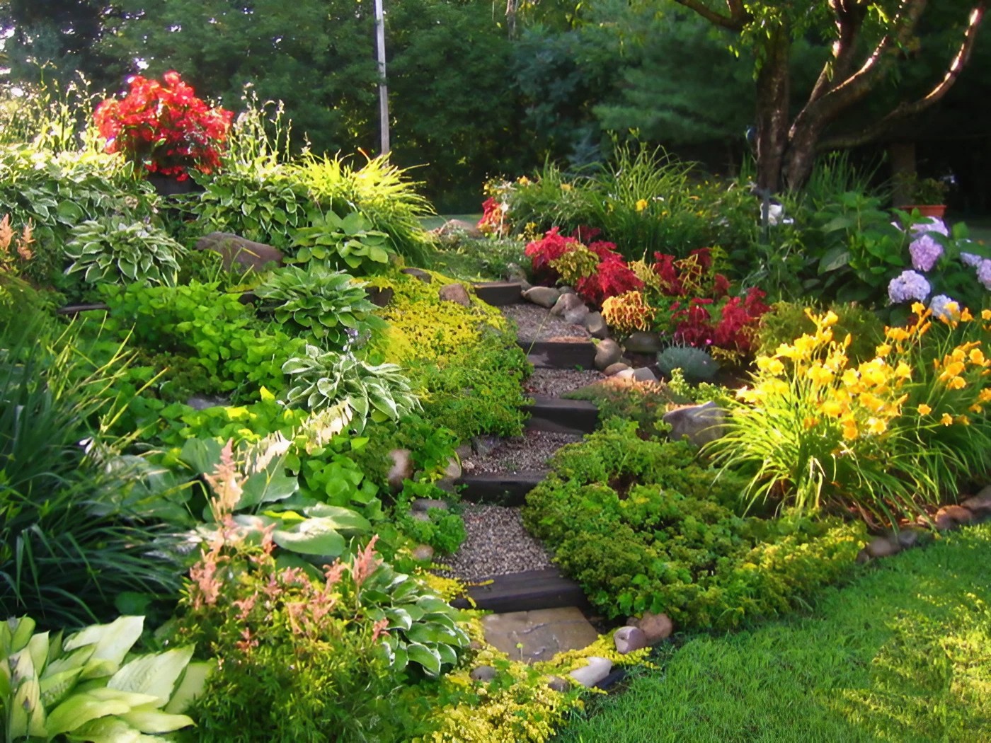 Aesthetically pleasing garden with a stone path winding through vibrant flowers.