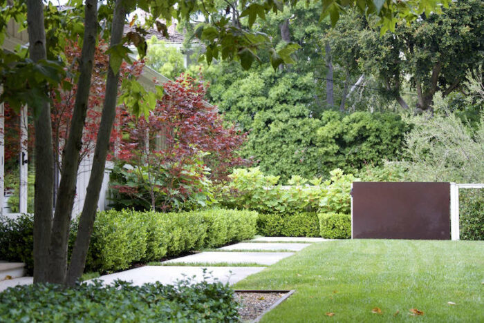 Aesthetic modern garden with a large tree and shrubs.