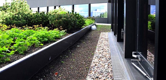 A green roof on a building with gardening ideas for balcony.