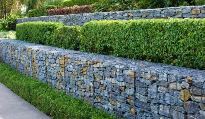 Keywords: stone wall, bushes