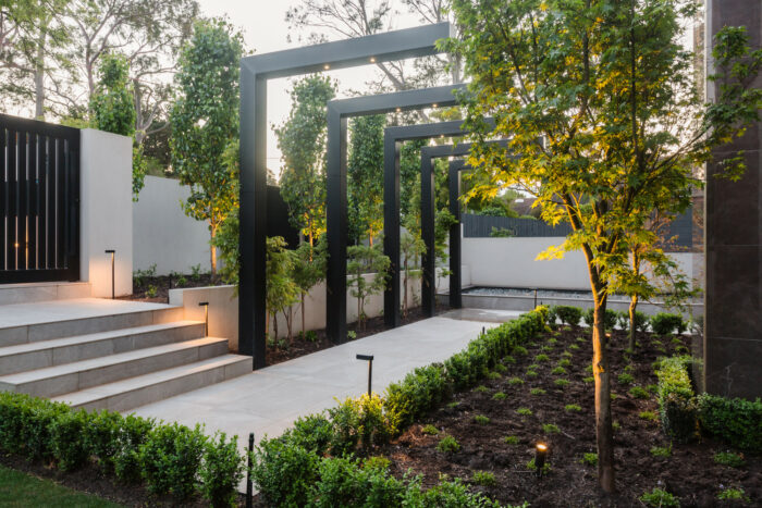A modern garden with aesthetic lighting.