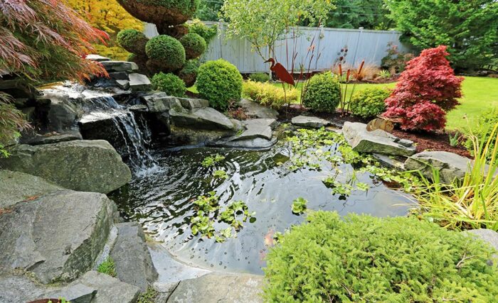 transform your garden into a stunning oasis