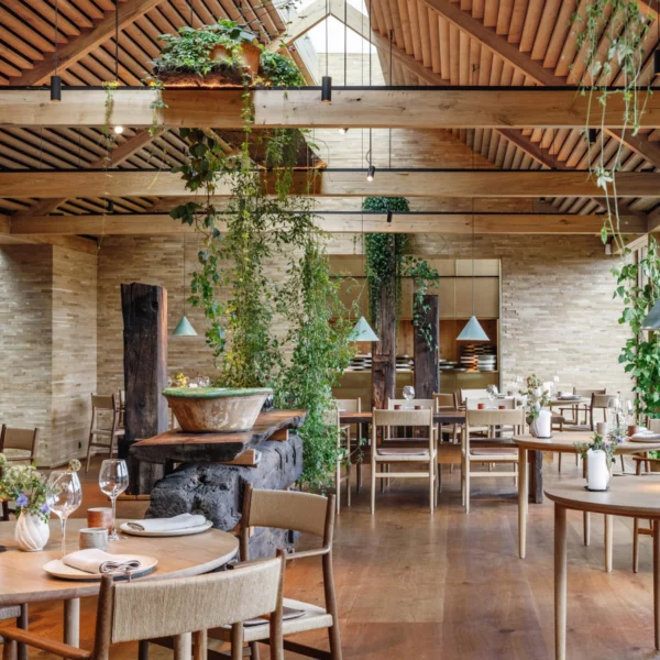 Design ideas for a restaurant interior featuring wooden tables and plants.