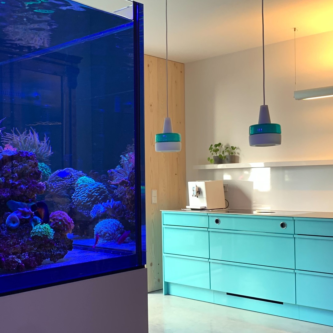 A kitchen with turquoise cabinets and a blue fish tank.