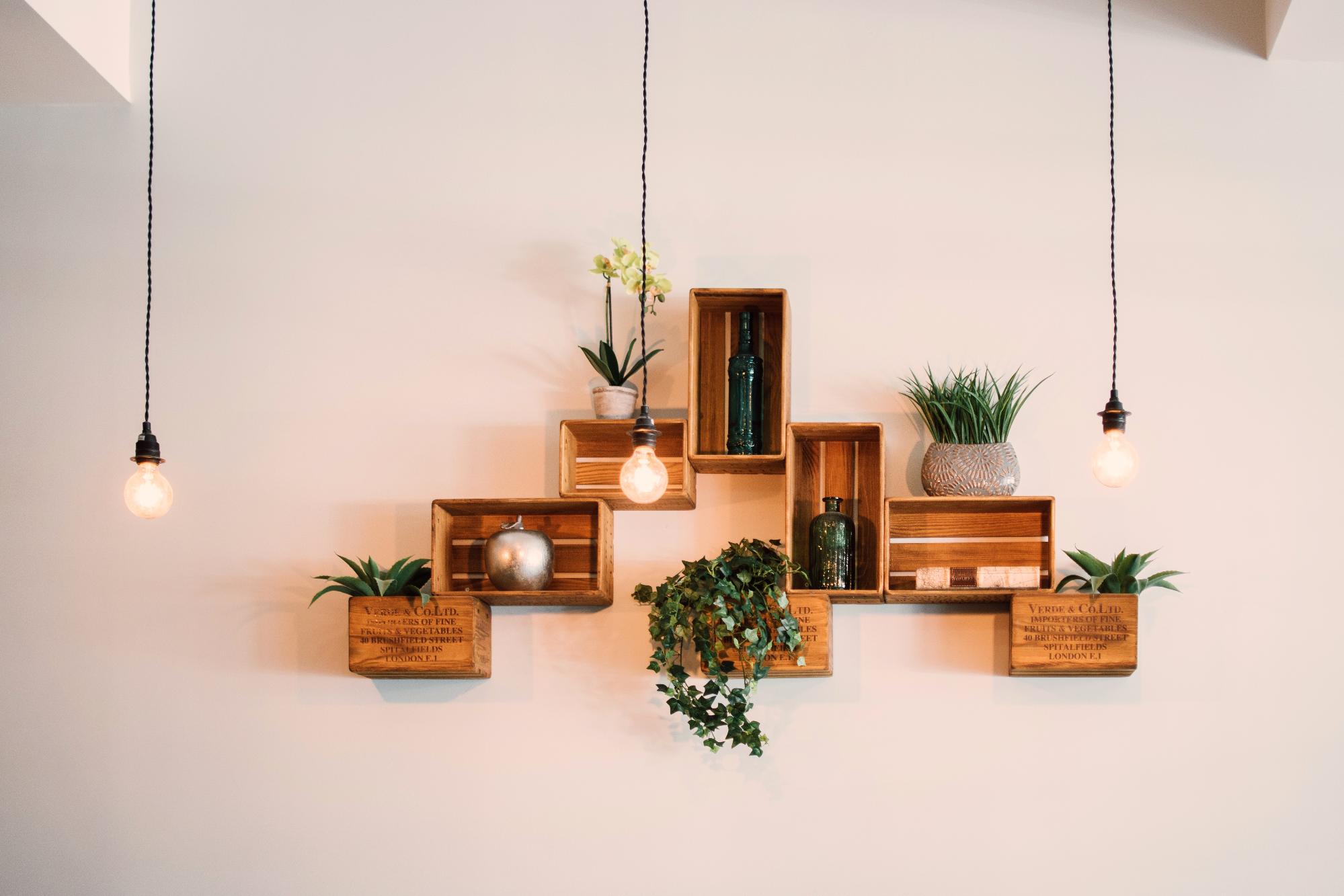 Wooden shelves with plants hanging on the wall, transformed by trendy upcycling ideas.