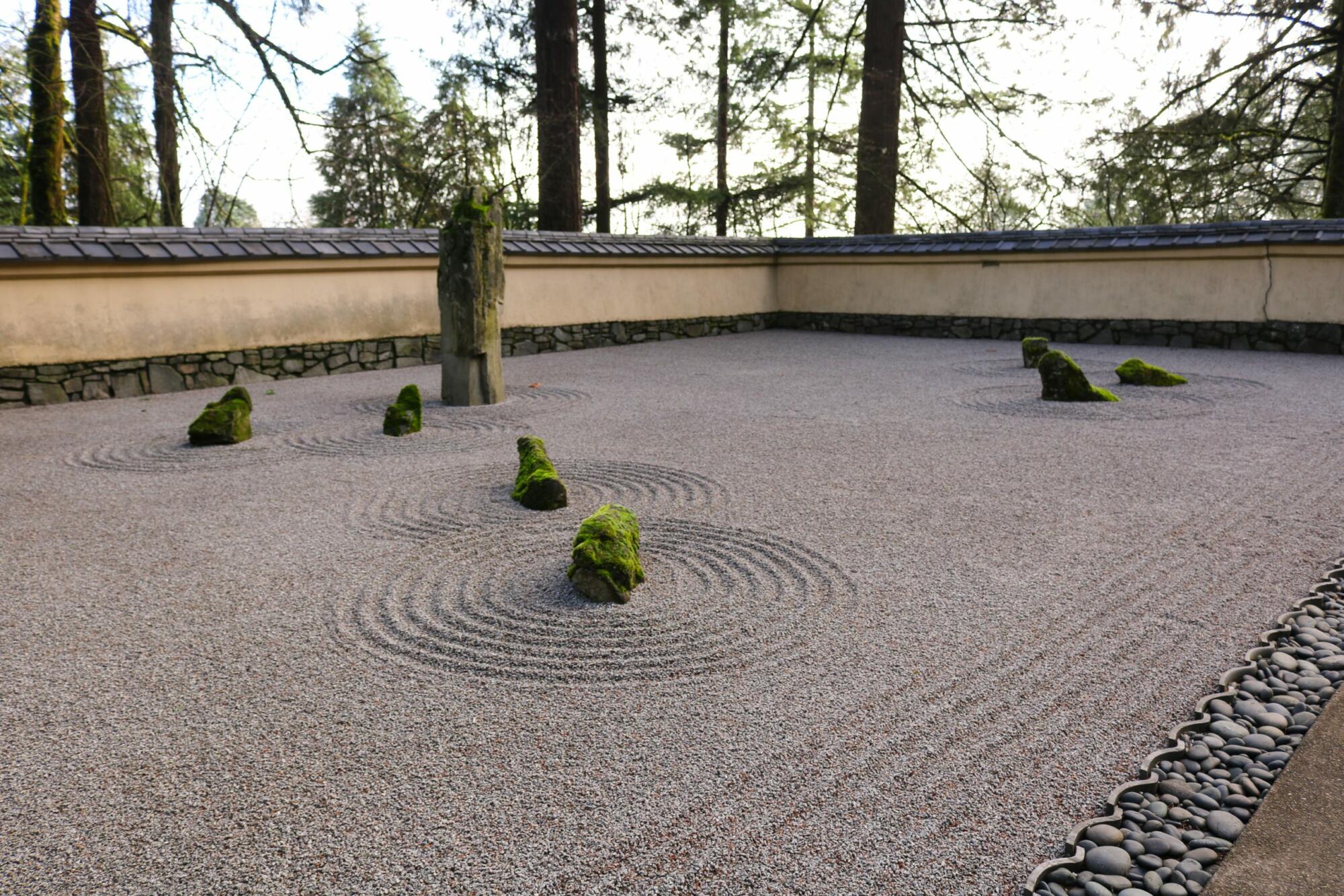 Creating a Zen Garden: Moss bringing peace and tranquility to rocks.