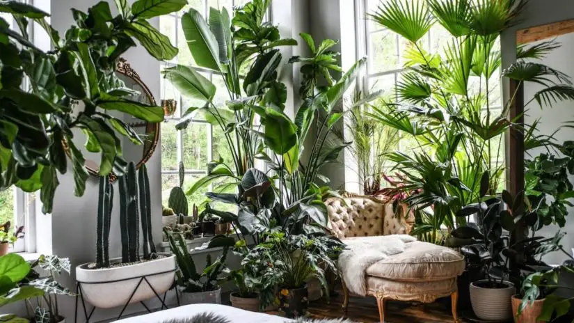 Design Ideas to Enhance Your Interiors - Decorate with plants