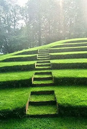 Grow grass on garden stairs