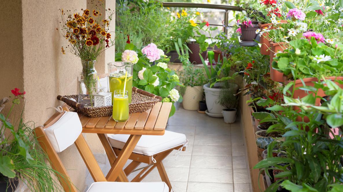 Balcony garden with flowers and refreshing juice on table.