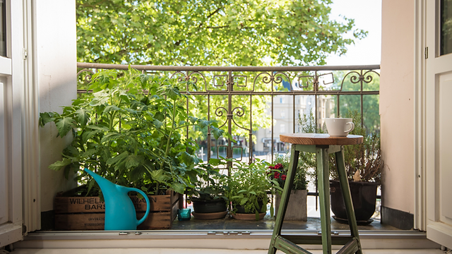 Cozy balcony garden with plants and coffee cup.