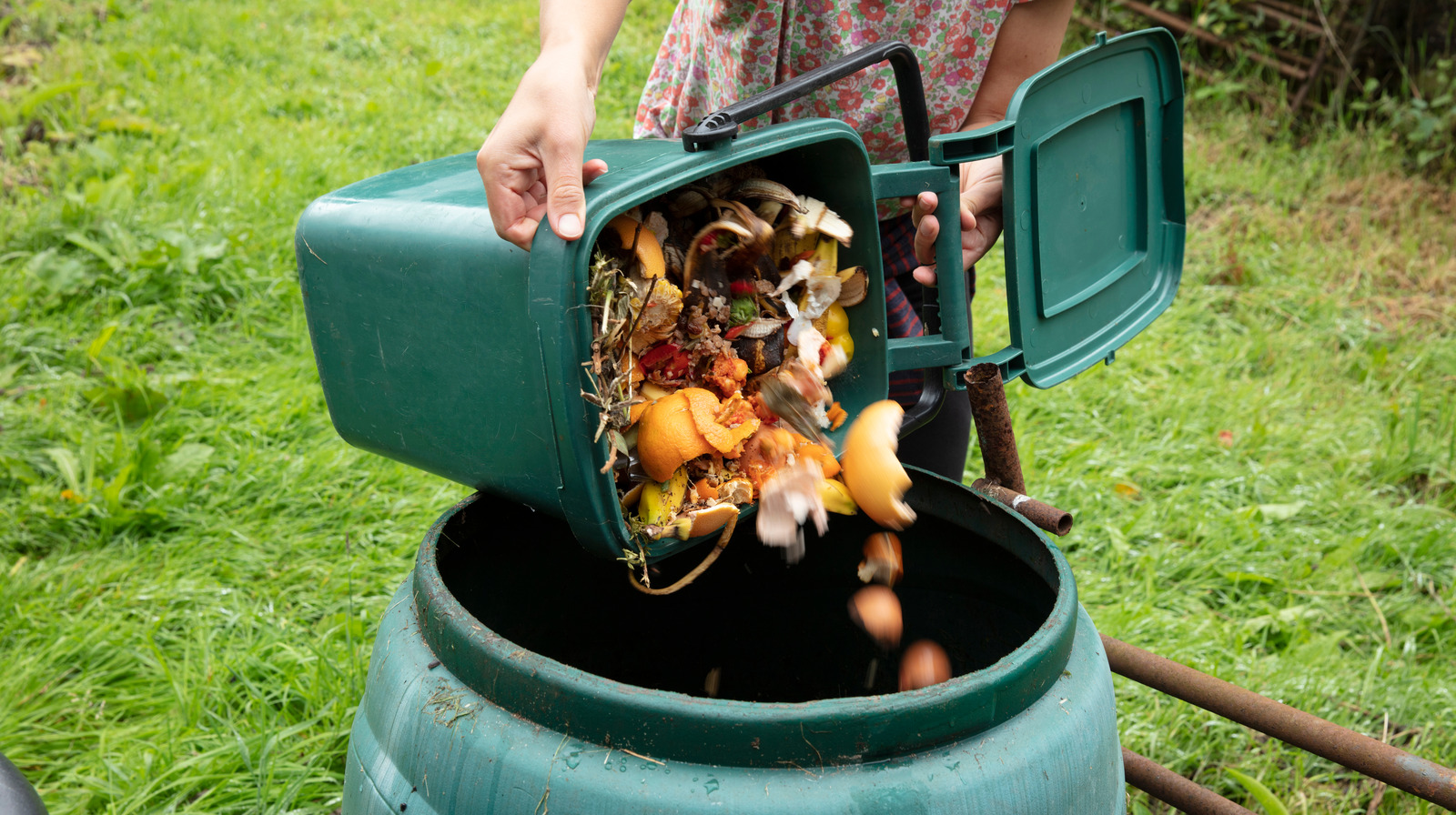 Person composting food scraps outdoors.