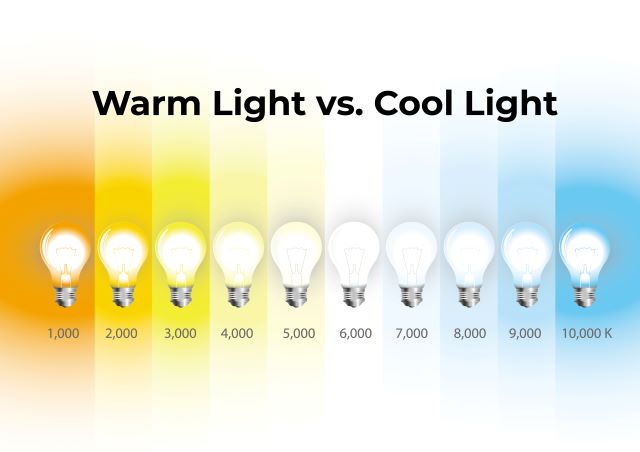 A comparison of different light temperatures in kelvin from warm to cool