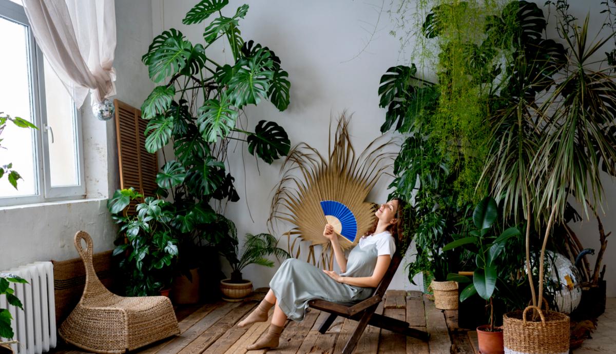 Designing a Cohesive Indoor Garden Aesthetic