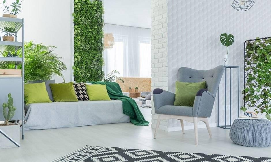 Home Décor with a Conscience: Beautifully Sustainable Choices