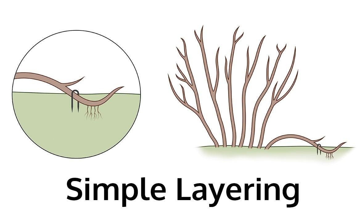 The Importance of Layering:⁢ Creating Depth and ‌Interest