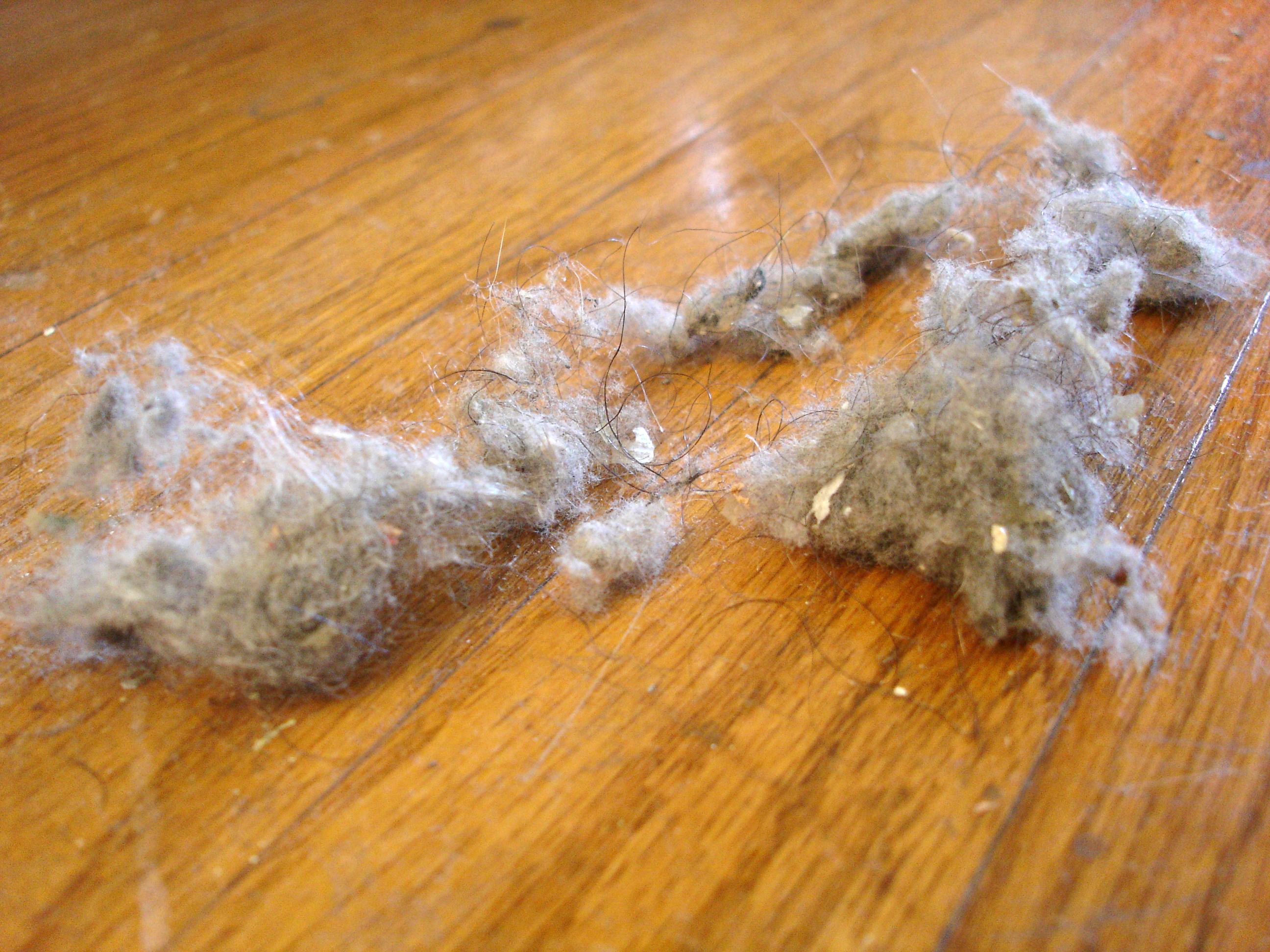 Dust Bunnies and ​Dishes: Maintenance Tips for Everyday Use
