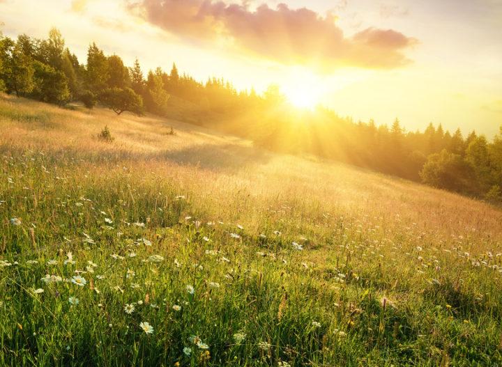 Enhancing Natural Light and Space Perception