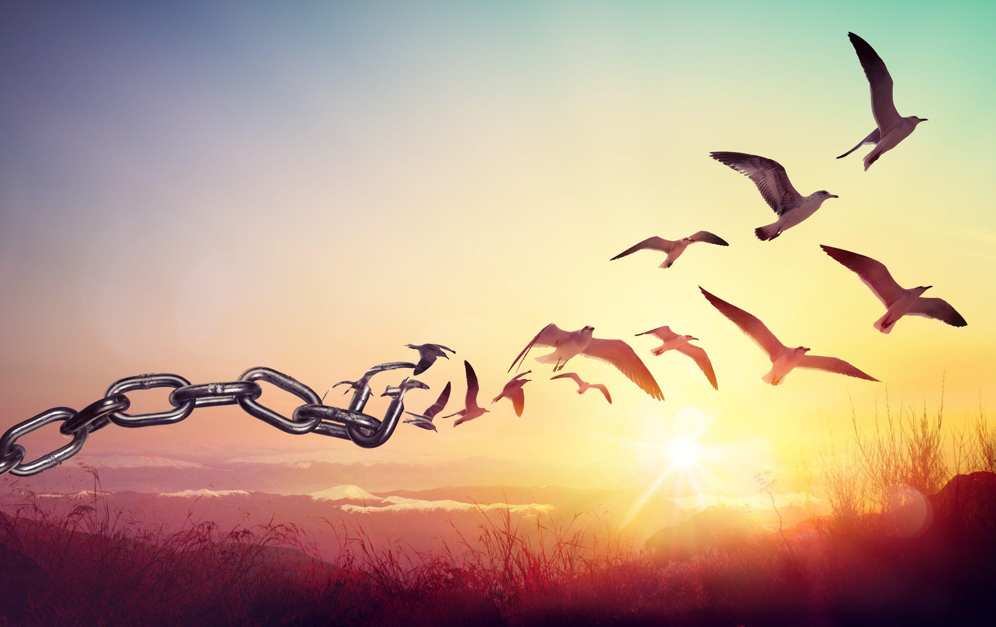 The Art of Letting Go: Choosing What to Keep