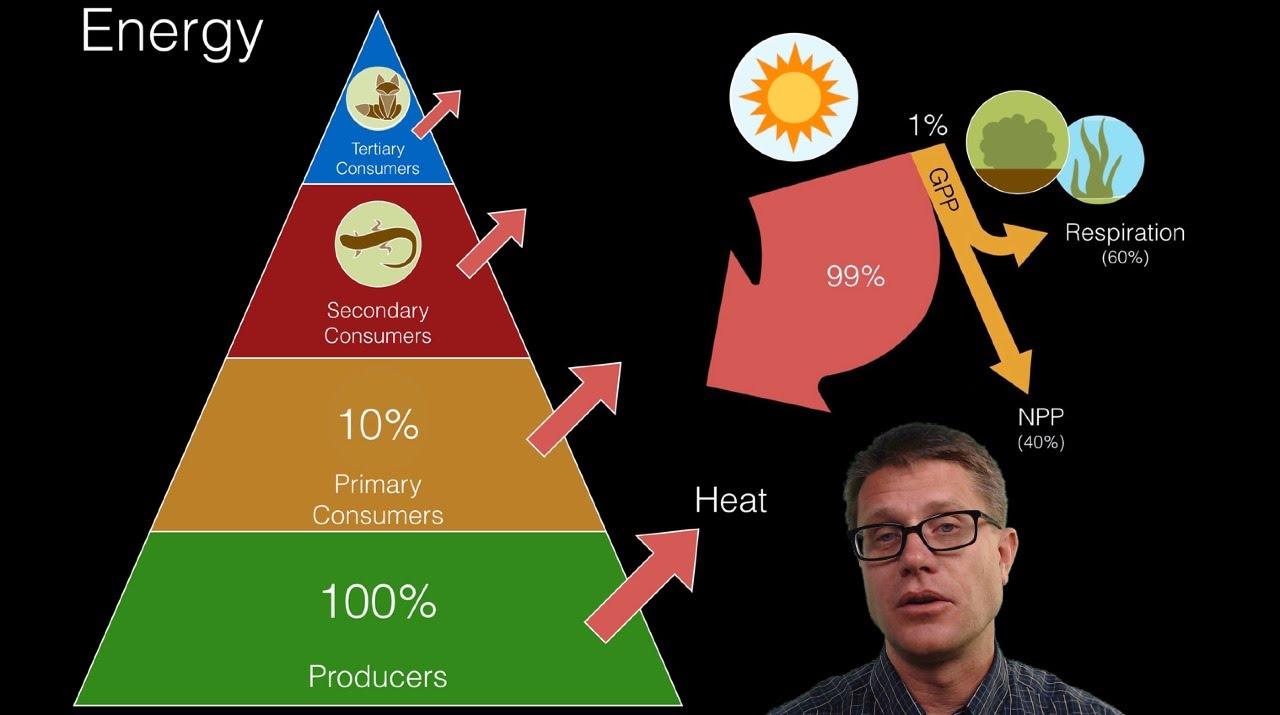 Understanding the ⁢Energy ⁣Flow and Its Impact‍ on Your Space