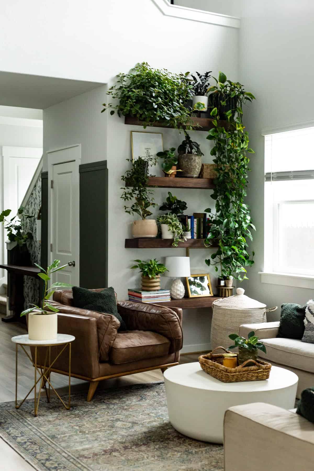 Design⁤ a room Around One Plant – Here's How